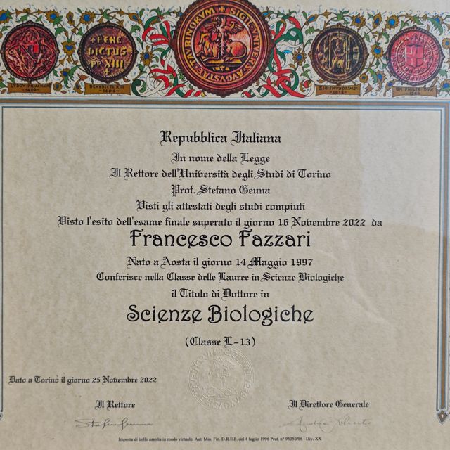 Ingrandire l'immagine: certificate 1