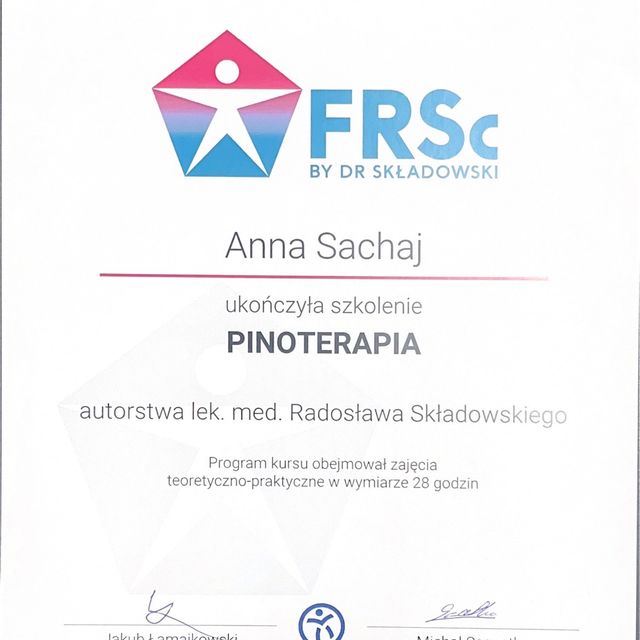 Powiększ obraz: certificate 7