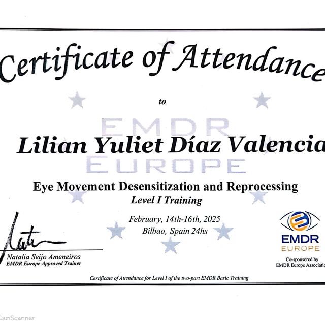 Acercar imagen: certificate 4