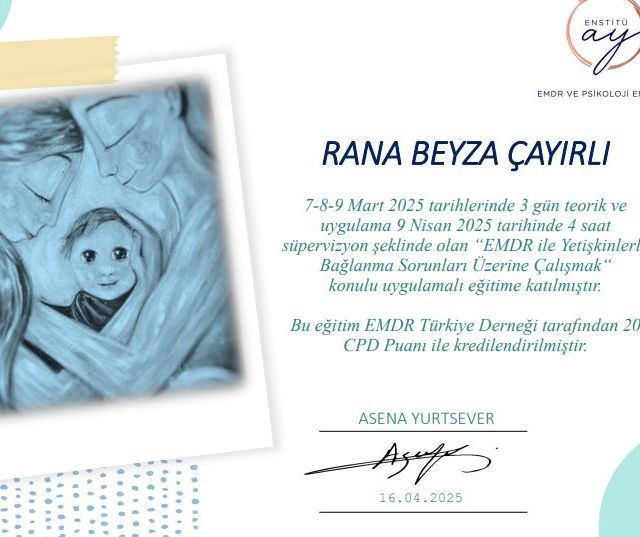Resmi büyüt: certificate 4