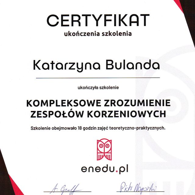 Powiększ obraz: certificate 9