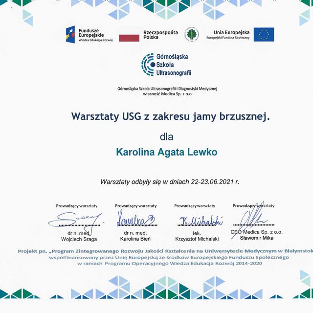 Powiększ obraz: certificate 4