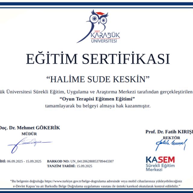 Resmi büyüt: certificate 3
