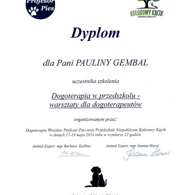 Powiększ obraz: certificate 4