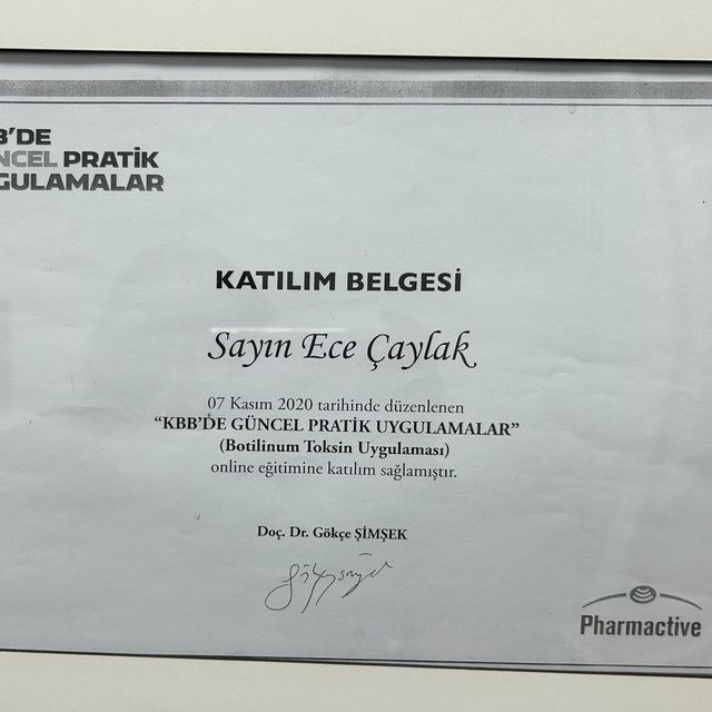 Resmi büyüt: certificate 4