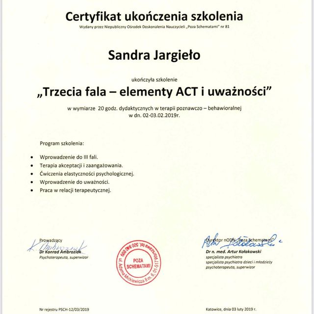 Powiększ obraz: certificate 13