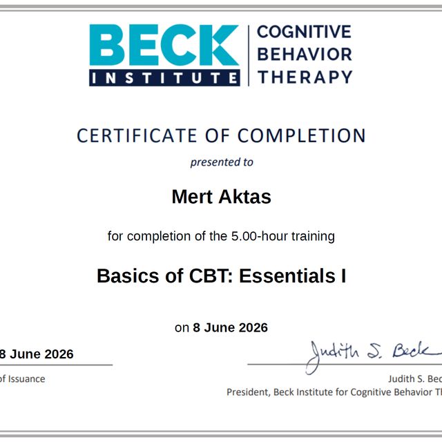 Resmi büyüt: certificate 13