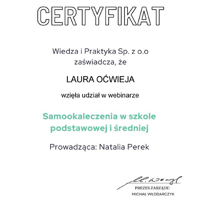 Powiększ obraz: certificate 4