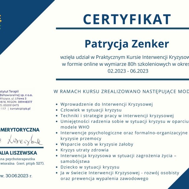 Powiększ obraz: certificate 2