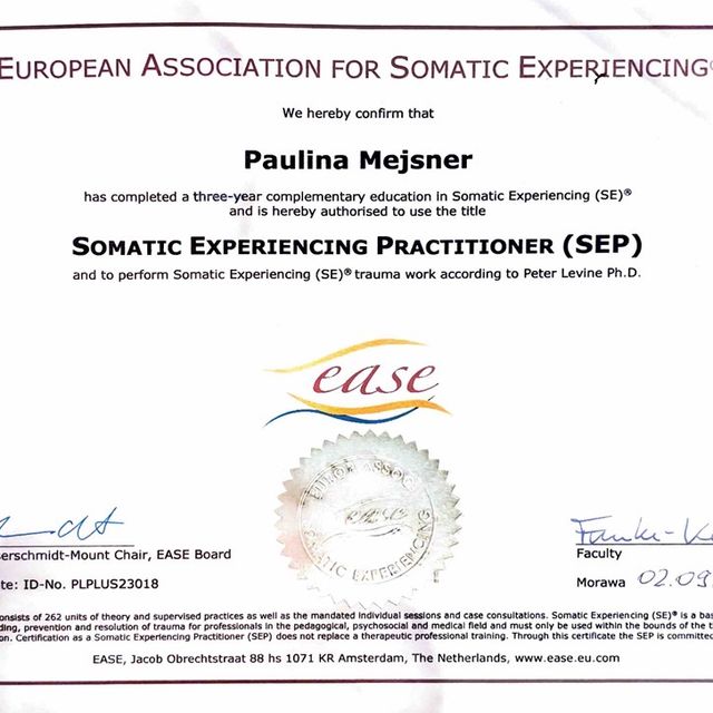 Powiększ obraz: certificate 2