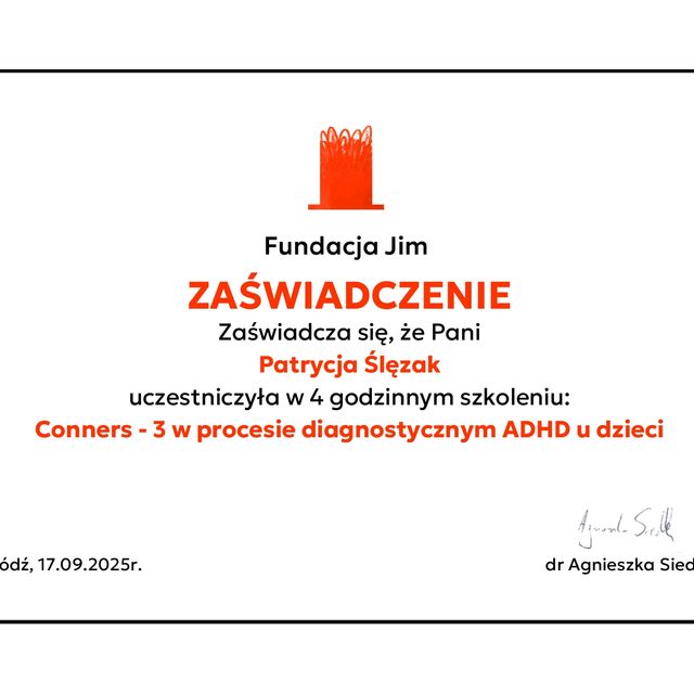 Powiększ obraz: certificate 26