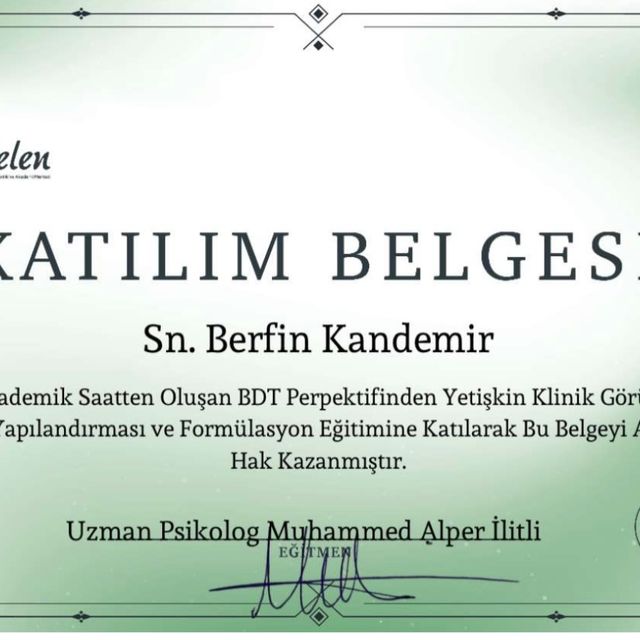 Resmi büyüt: certificate 3