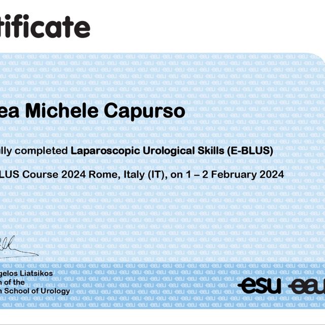 Ingrandire l'immagine: certificate 1