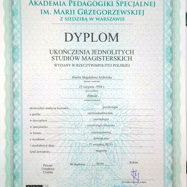 Powiększ obraz: certificate 1