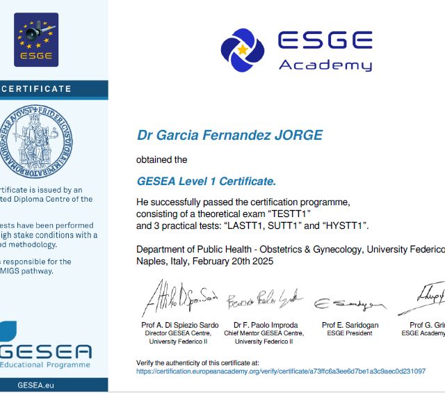 Acercar imagen: certificate 3