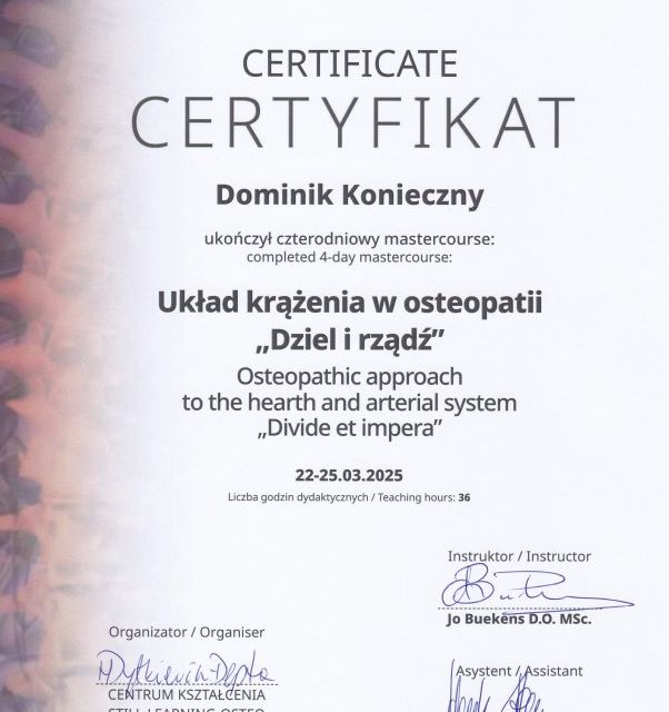 Powiększ obraz: certificate 32
