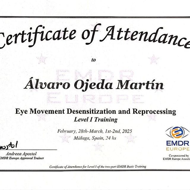 Acercar imagen: certificate 1