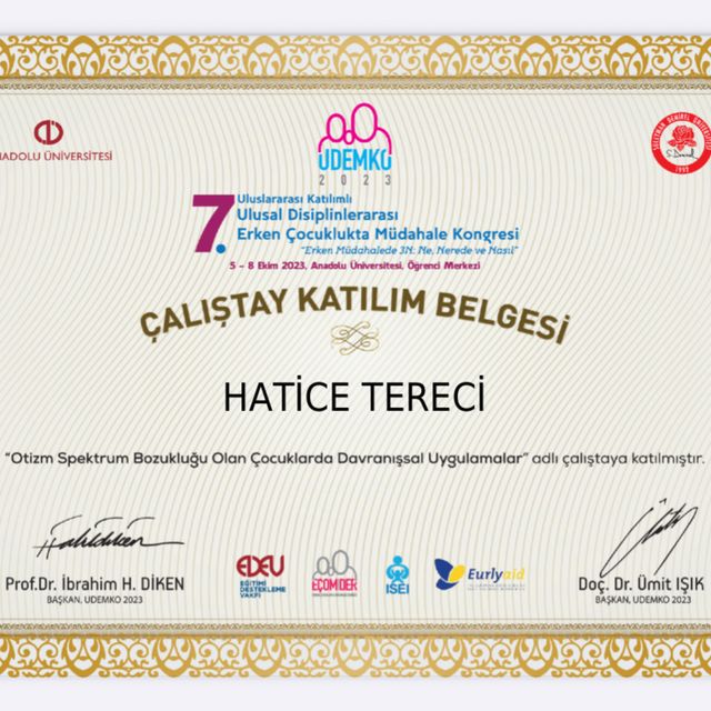 Resmi büyüt: certificate 8