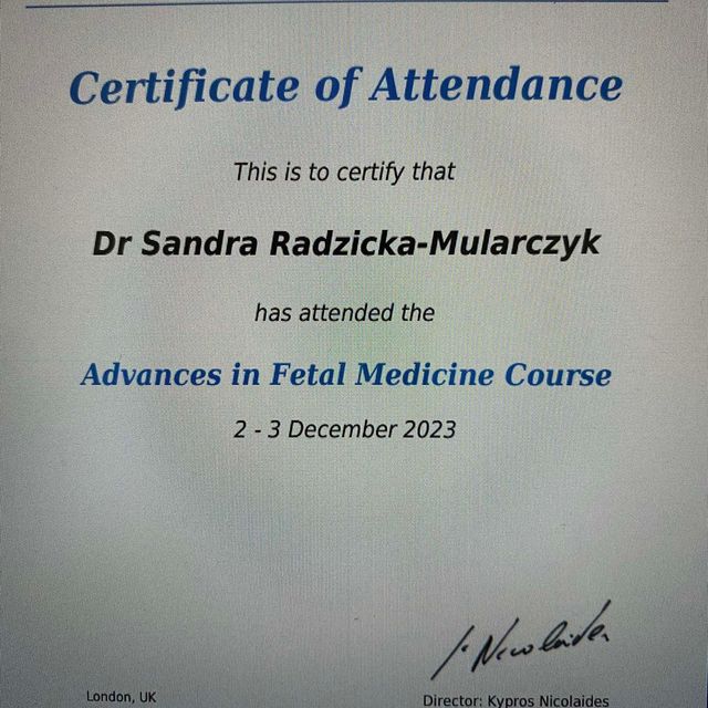 Powiększ obraz: certificate 11