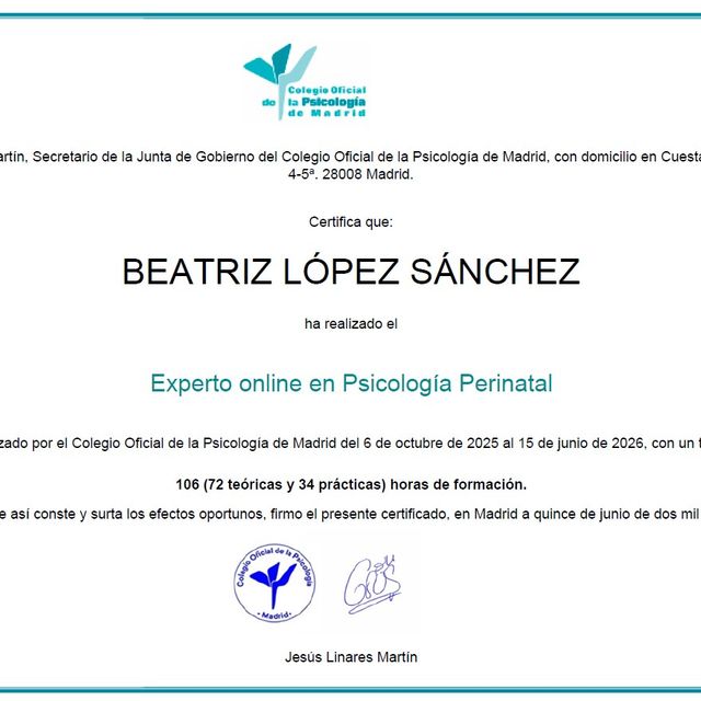 Acercar imagen: certificate 17