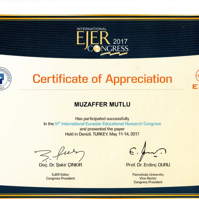 Resmi büyüt: certificate 17