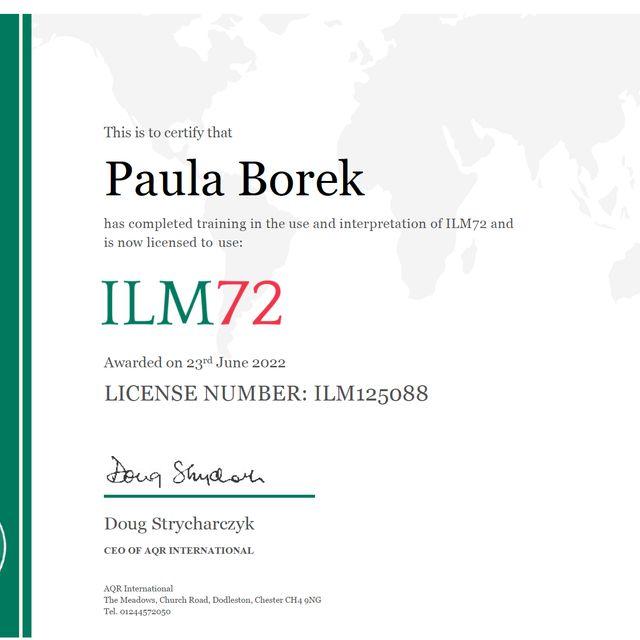 Powiększ obraz: certificate 4