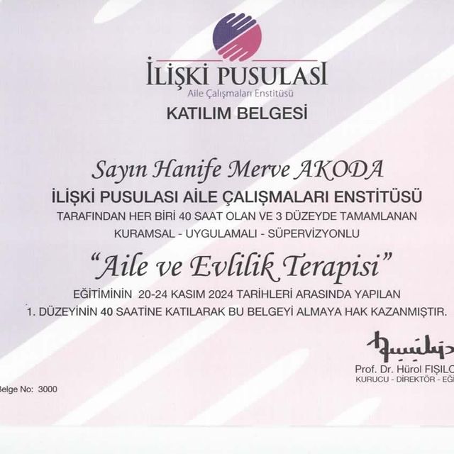 Resmi büyüt: certificate 3