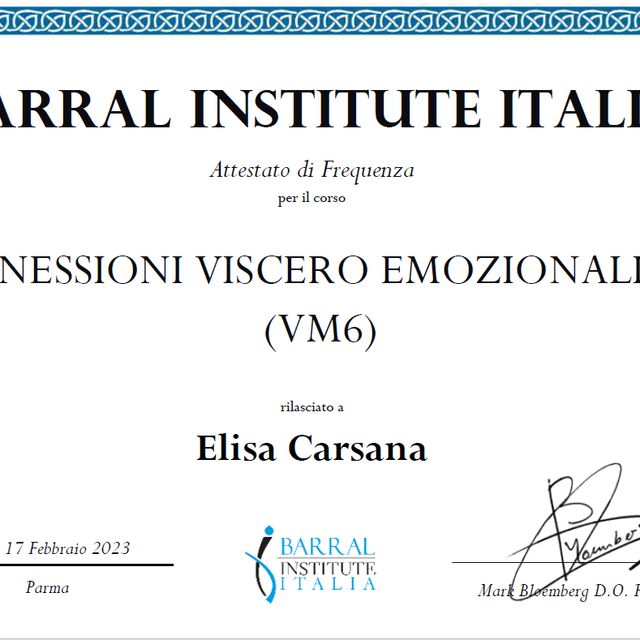Ingrandire l'immagine: certificate 17