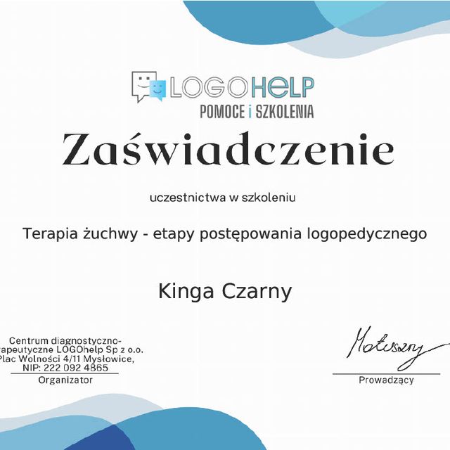 Powiększ obraz: certificate 2