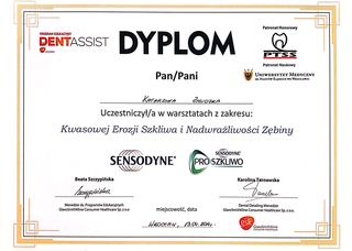 Powiększ obraz: certificate 7