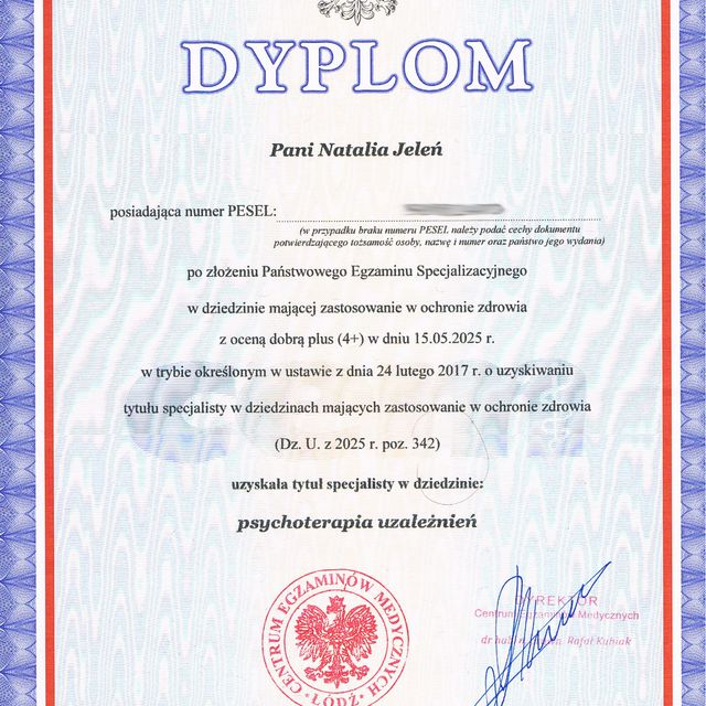 Powiększ obraz: certificate 2