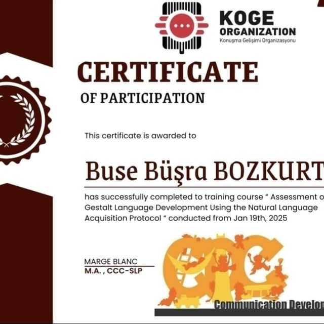 Resmi büyüt: certificate 15