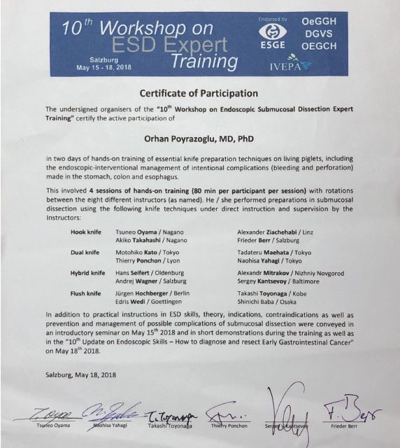 Resmi büyüt: certificate 7