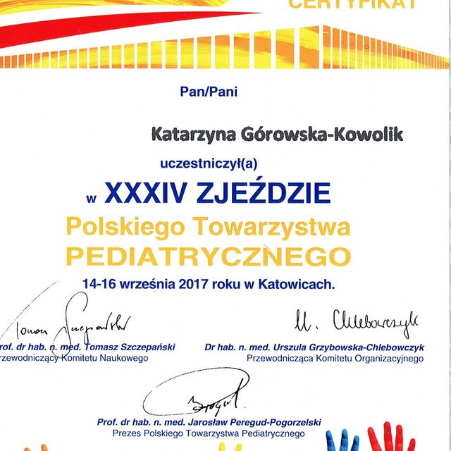 Powiększ obraz: certificate 28