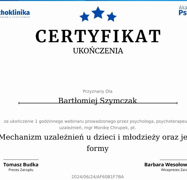 Powiększ obraz: certificate 4