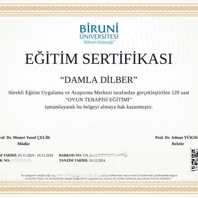 Resmi büyüt: certificate 50