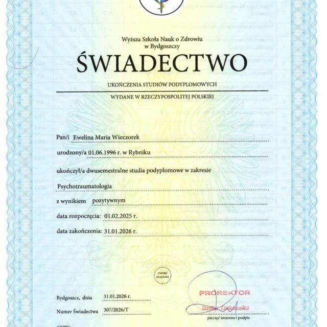 Powiększ obraz: certificate 11