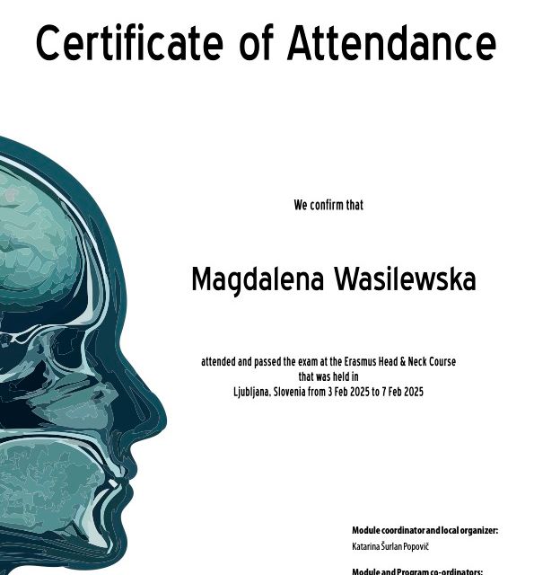 Powiększ obraz: certificate 6