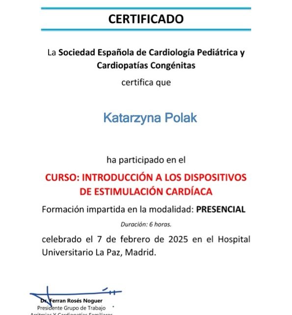 Acercar imagen: certificate 5