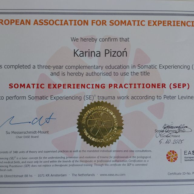 Powiększ obraz: certificate 11