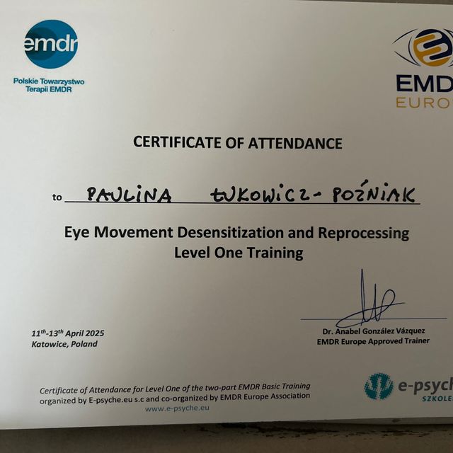 Powiększ obraz: certificate 8