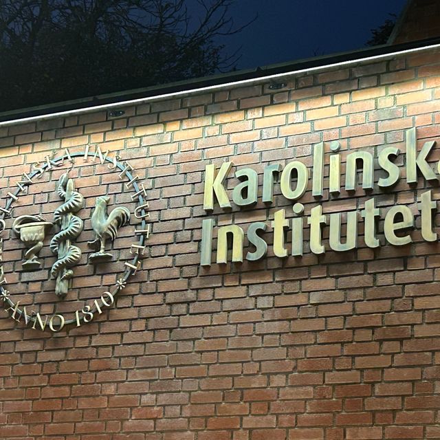 Powiększ obraz: certificate 151