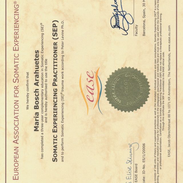 Acercar imagen: certificate 1