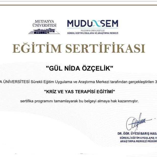 Resmi büyüt: certificate 3