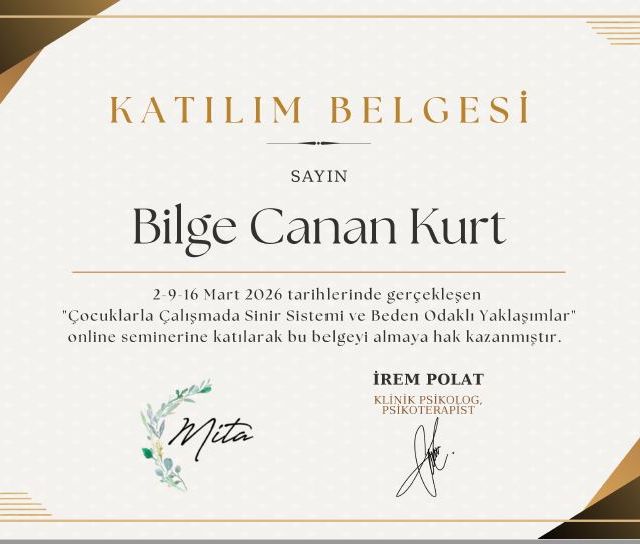 Resmi büyüt: certificate 12
