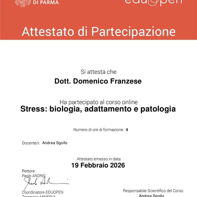 Ingrandire l'immagine: certificate 9