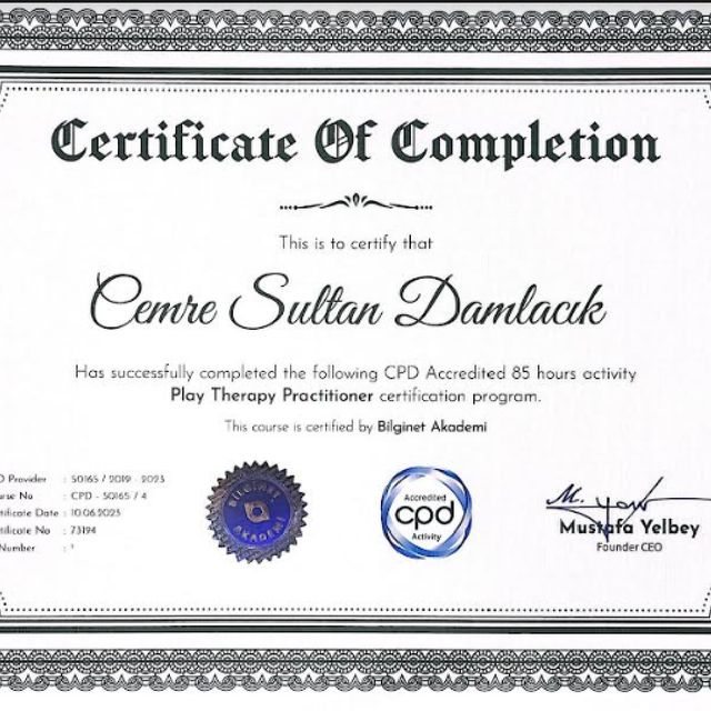 Resmi büyüt: certificate 4