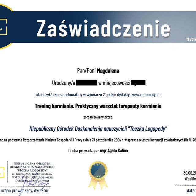 Powiększ obraz: certificate 4