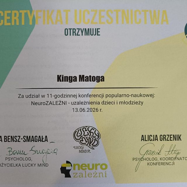Powiększ obraz: certificate 17
