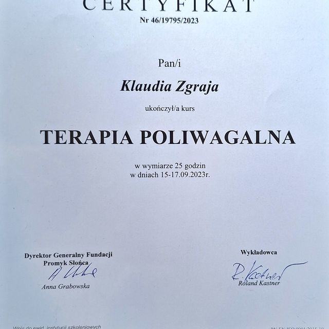 Powiększ obraz: certificate 7